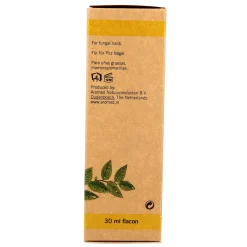 Outlet Aromed Ferula kalknagel olie