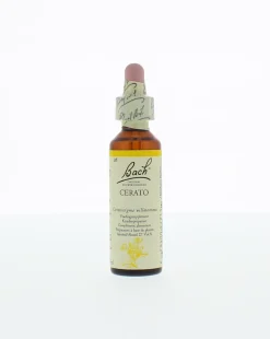 Bach Cerato/loodkruid