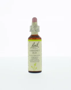 Bach Chestnut bud/kastanjeknop