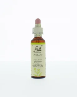 Bach Mustard/herik