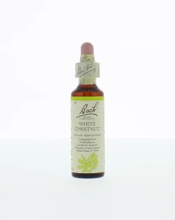 Best Bach White chestnut/paardekastanje