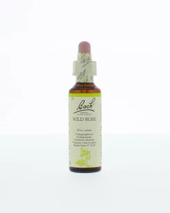 Sale Bach Wild rose/hondsroos