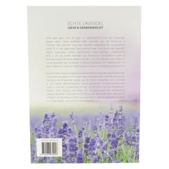 New Chi Echte lavendel Rijpkema