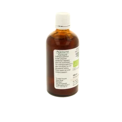 Cruydhof Zingiber officinalis rhiz/gember tinctuur bio