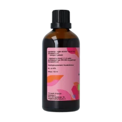 Sale De Cruydhof Glechoma hederacea / hondsdraf tinctuur bio