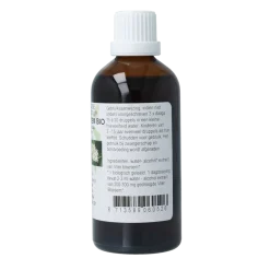 De Cruydhof Sambucus nigra / gewone vlier bio