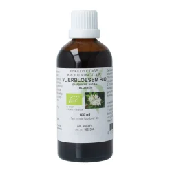 De Cruydhof Sambucus nigra / gewone vlier bio