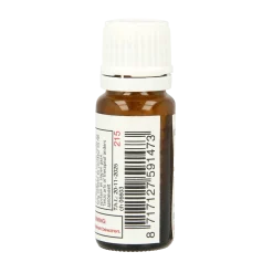 Discount DNH B10
