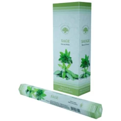 Sale Green Tree Wierook sage