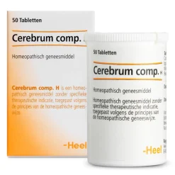 Clearance Heel Cerebrum compositum H