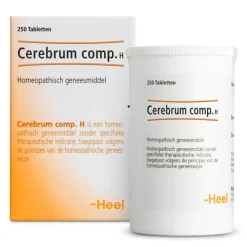 Heel Cerebrum compositum H