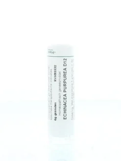 Homeoden Heel Echinacea purpurea D12