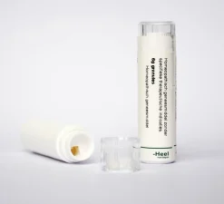 Online Homeoden Heel Mentha piperita D12