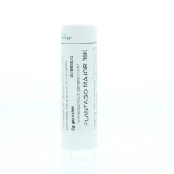 Online Homeoden Heel Plantago major 30K