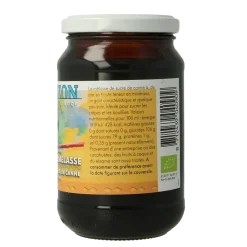 Horizon Rietsuikermelasse eko bio