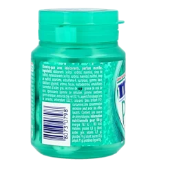 Mentos Gum pure wintergreen pot