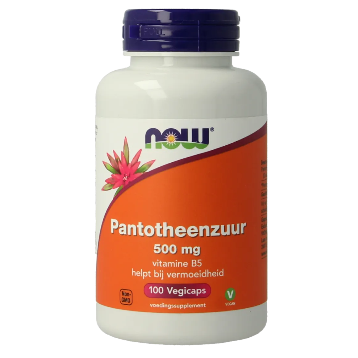 NOW Pantotheenzuur 500mg (B5)