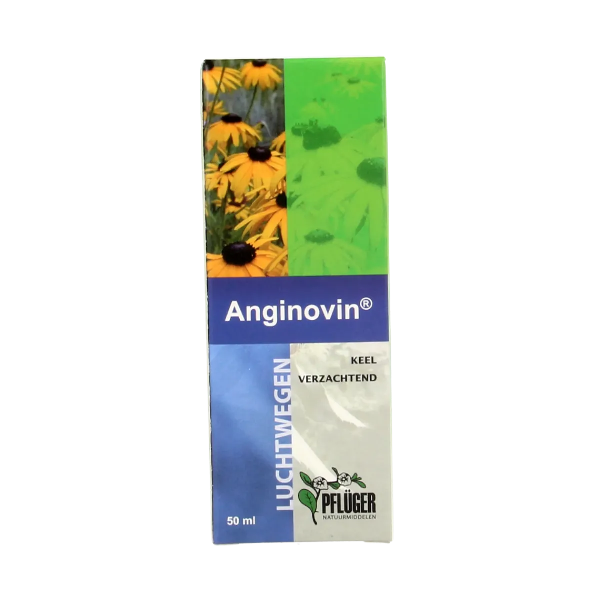 Online Pflüger Anginovin