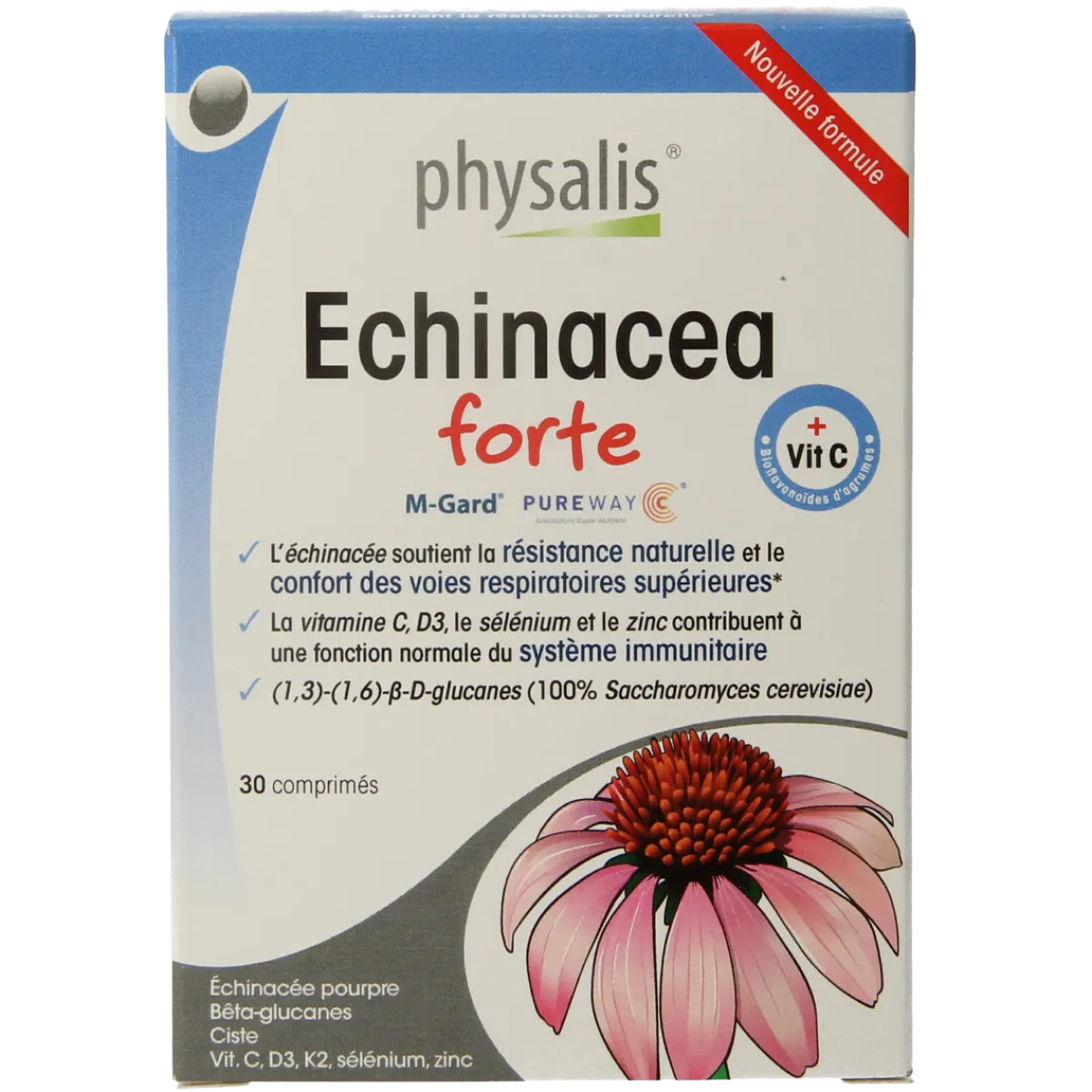 Clearance Physalis Echinacea forte