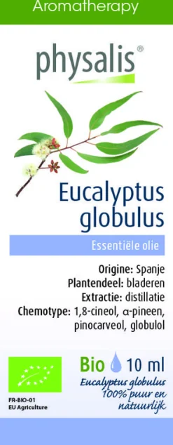 Sale Physalis Eucalyptus globulus bio