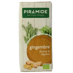 Piramide Gember thee eko bio