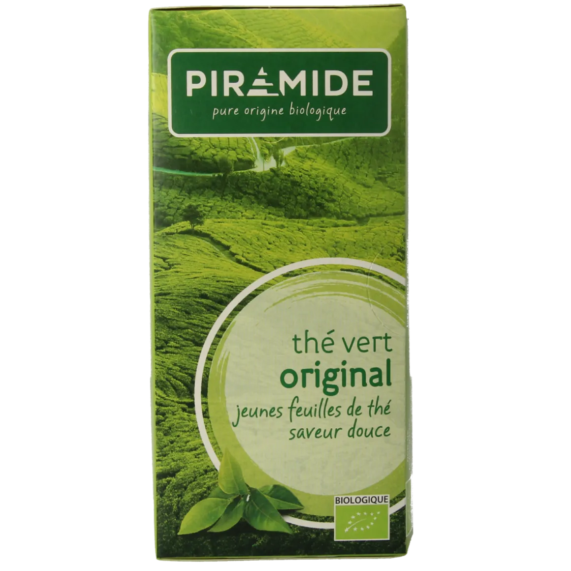 Piramide Groene thee eko original bio