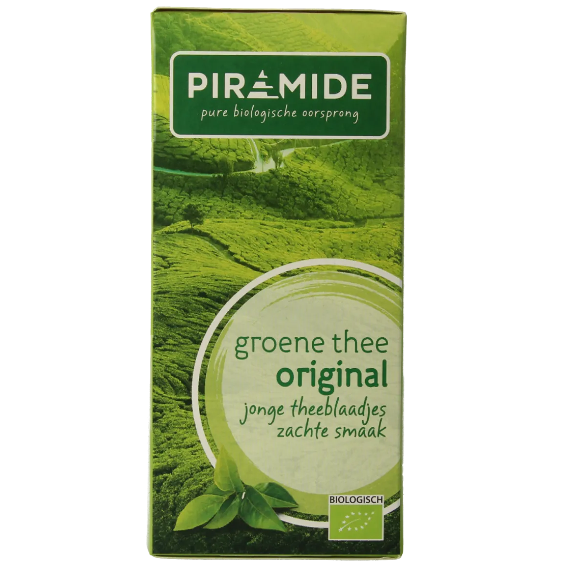 Piramide Groene thee eko original bio