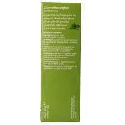 Piramide Groene thee eko original bio