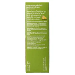 Piramide Groene thee met gember en citroen bio
