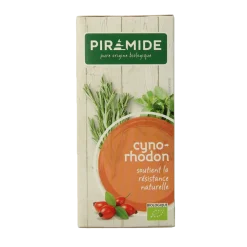 Piramide Rozenbottel thee eko bio