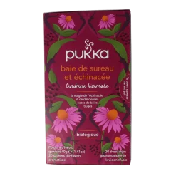 Pukka Elderberry & echinacea bio