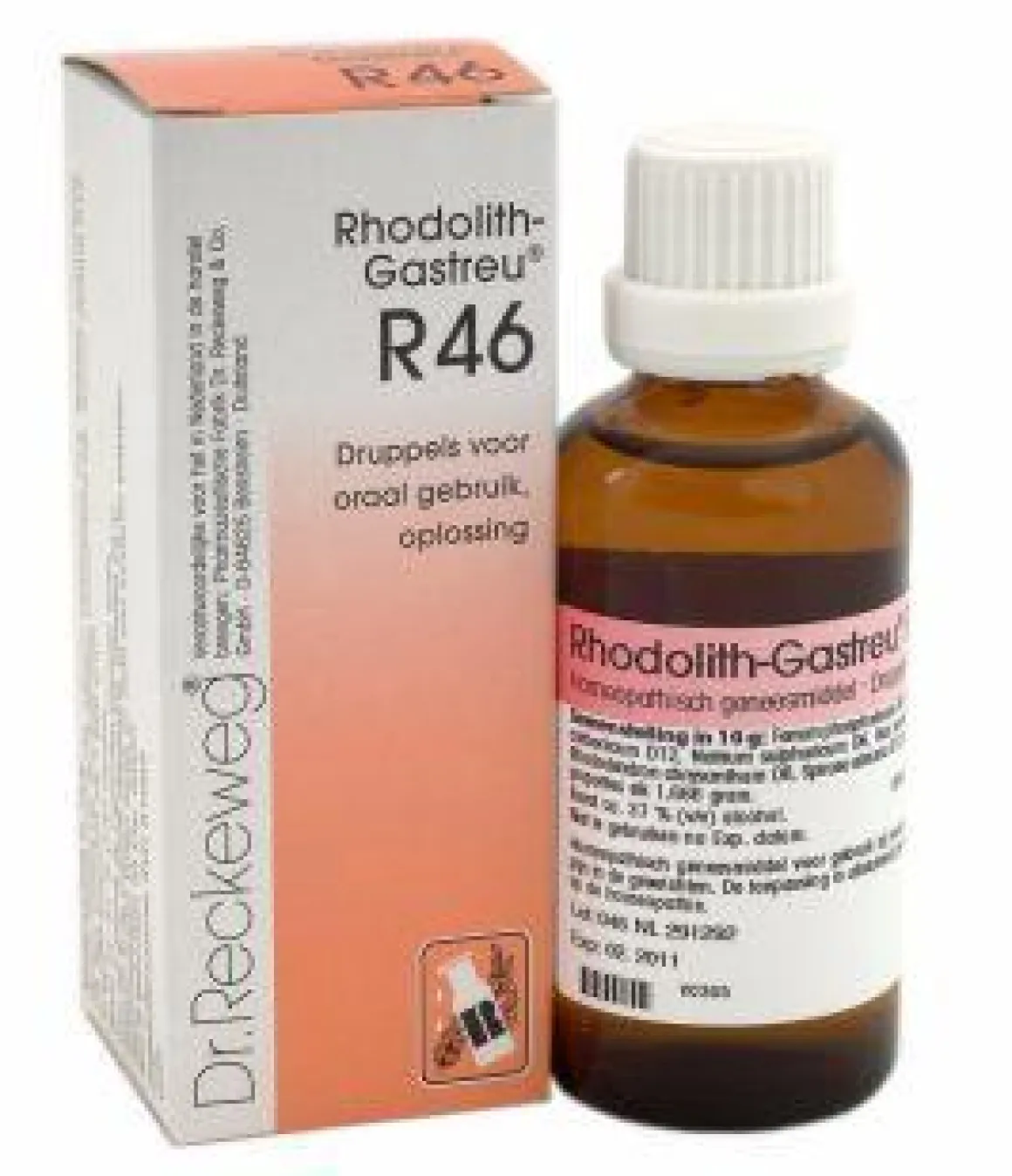 Reckeweg Rhodolith gastreu R46