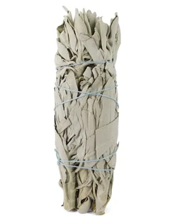 New Ruben Robijn Saliebosje 12 cm