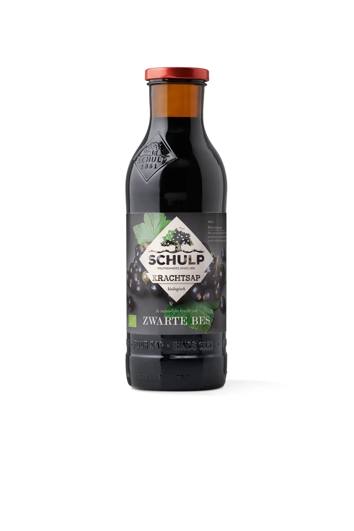Schulp Krachtsap zwarte bessensap bio