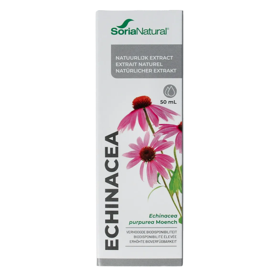 Soria Natural Echinacea purpurea XXI