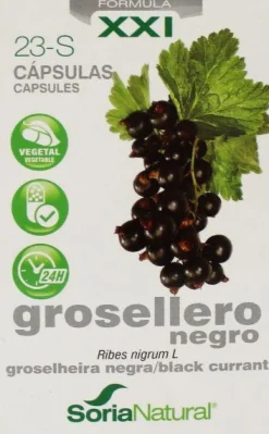 Soria Natural 23-S Ribes nigrum XXI
