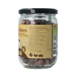 TerraSana Raw cacao bonen in glas bio