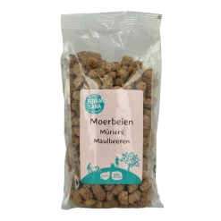 Clearance TerraSana RAW Moerbei bessen wit bio