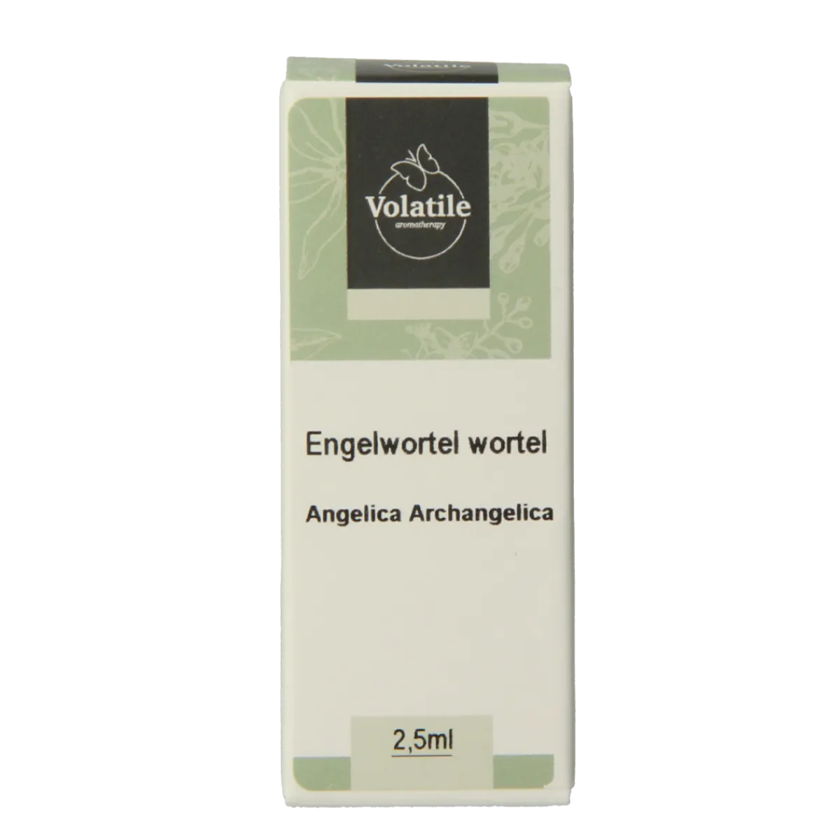Online Volatile Engelwortel