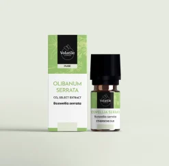 Volatile Olibanum serrata C02-SE