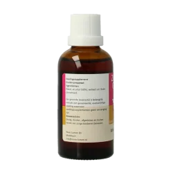 Zonnegoud Echinacea simplex