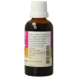Zonnegoud Hypericum complex